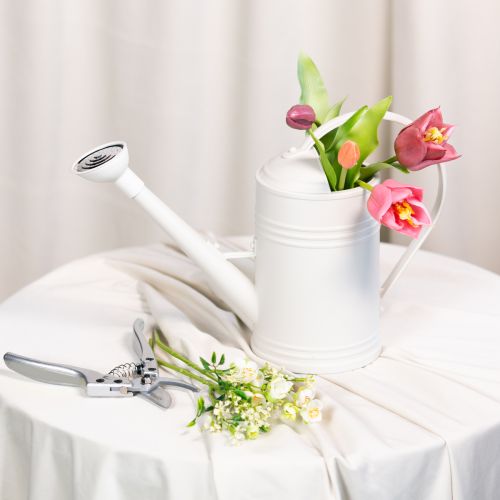 Article Arrosoir avec pommeau amovible. Idéal pour les plantes d'intérieur et les balcons. 32 cm