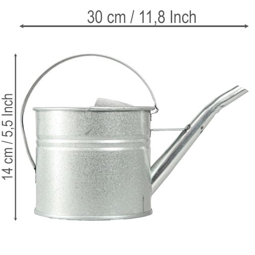 Arrosoir décoratif vintage, métal argenté, pot de fleurs de 1,25 l | Floristik24.be