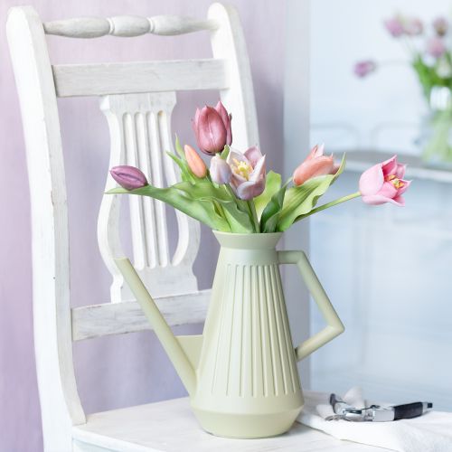 Floristik24 Arrosoir Vert Olive Douche Amovible Pot de Fleurs 42cm 9L