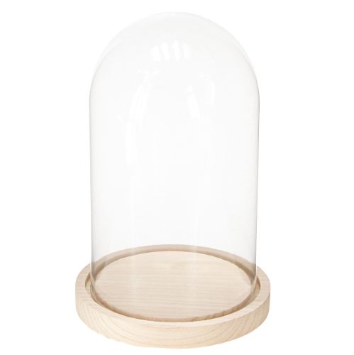 Article Cloche en verre sur plateau en bois, pot en verre, transparent, naturel, Ø17cm, H24cm