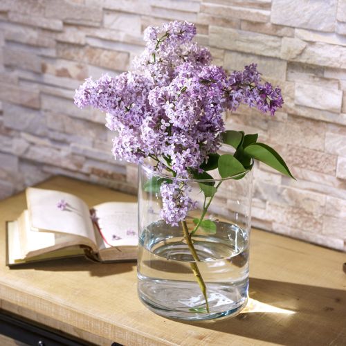 Article Vase en verre transparent cylindrique Ø12cm H20cm