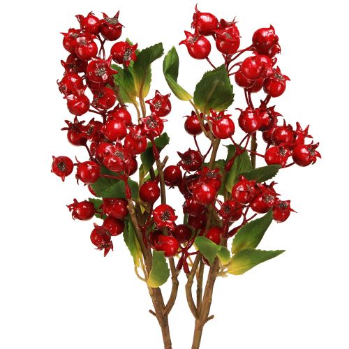 Floristik24 Branche décorative d&#39;églantier aux fruits rouges L60cm 2 pcs