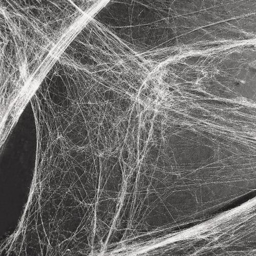 Article Toile d&#39;araignée décorative d&#39;Halloween 70×100cm 150g