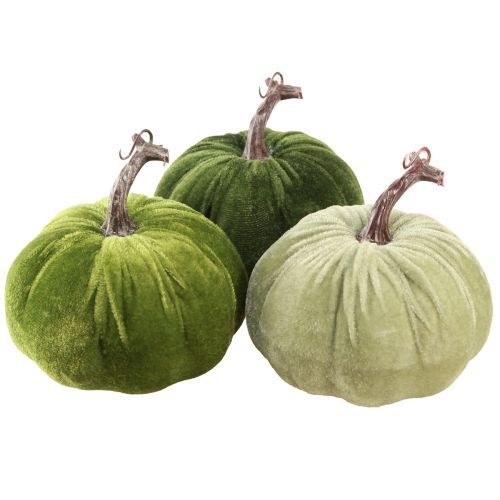 Floristik24 Décoration d'automne citrouille vert clair vert vert foncé Ø13cm 3 pcs