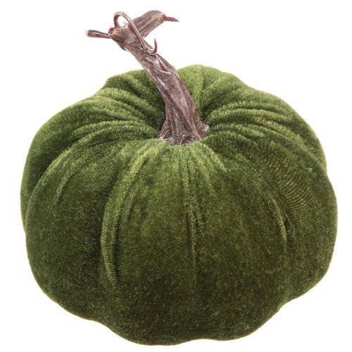 Floristik24 Décoration d'automne citrouille vert clair vert vert foncé Ø13cm 3 pcs