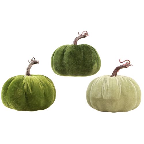 Floristik24 Décoration d'automne citrouille vert clair vert vert foncé Ø13cm 3 pcs