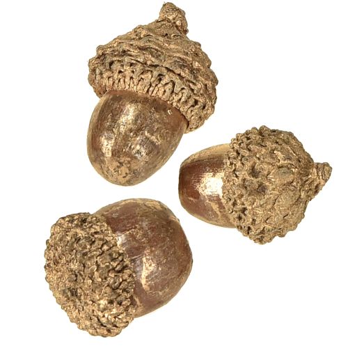 Article Fruits d'automne dorés, décorations d'automne festives, glands décoratifs naturels, décoration de l'Avent Ø1,5 – 2,5 cm L1,5 – 3 cm 300 g