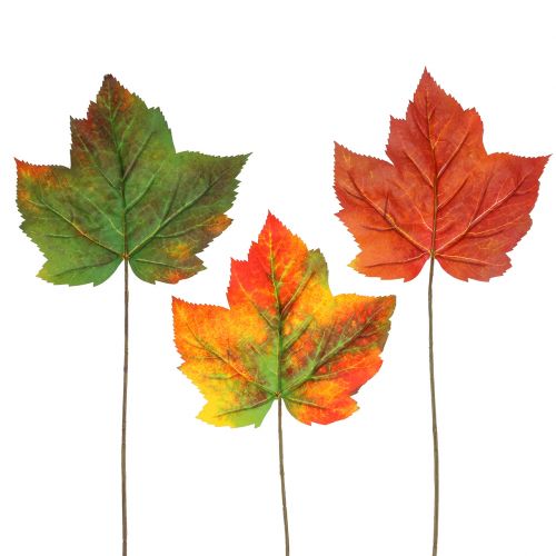 Floristik24 Feuille d'érable décorative 36 cm 12 p.