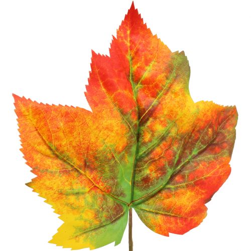 Floristik24 Feuille d'érable décorative 36 cm 12 p.
