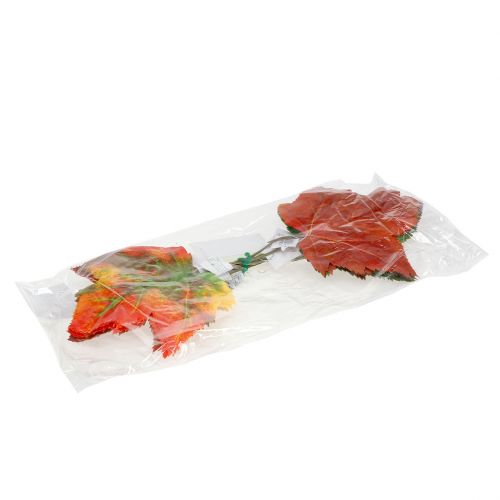 Floristik24 Feuille d'érable décorative 36 cm 12 p.