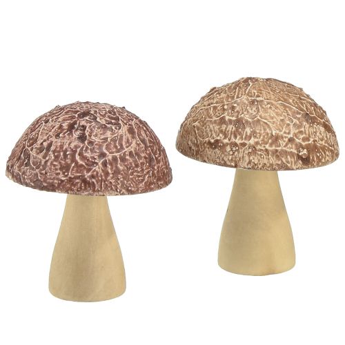 Floristik24 Champignons en bois champignons décoratifs décoration de table automne brun naturel 5×6cm 8 pcs