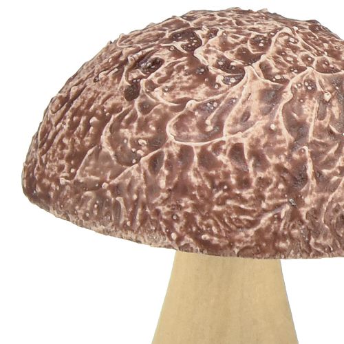 Article Champignons en bois champignons décoratifs décoration de table automne brun naturel 5×6cm 8 pcs
