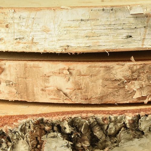 Floristik24 Disques en bois de bouleau avec écorce disques d'arbre Ø20-22cm 3 pièces