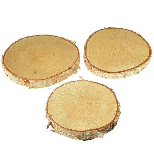 Article Disques en bois disques décoratifs en bouleau Ø15-18cm 3 pcs
