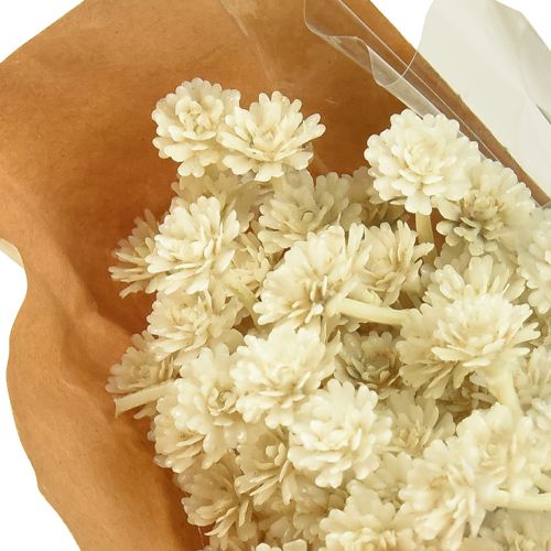 Article Curry artificiel blanc beige L28cm 12 pcs 1 botte