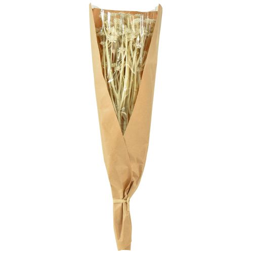 Article Curry artificiel blanc beige L28cm 12 pcs 1 botte