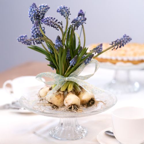 Article Assiette à gâteau classique en verre sur pied - Élégante pour chaque célébration Ø 20cm