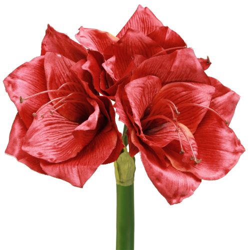Article Amaryllis Artificielle Fleurs Artificielles Rouge Ø18cm L68cm 2pcs