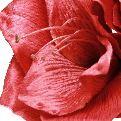 Article Amaryllis Artificielle Fleurs Artificielles Rouge Ø18cm L68cm 2pcs