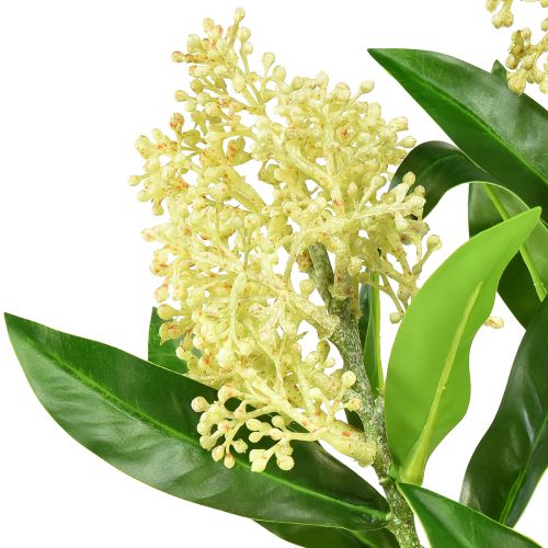 Article Fleurs artificielles crème Skimmia japonica Skimmie 45cm 2pcs