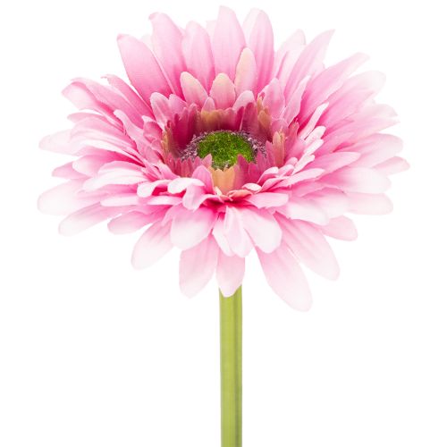 Gerberas artificiels roses pour jardin, 47 cm, lot de 6 acheter | Floristik24.be