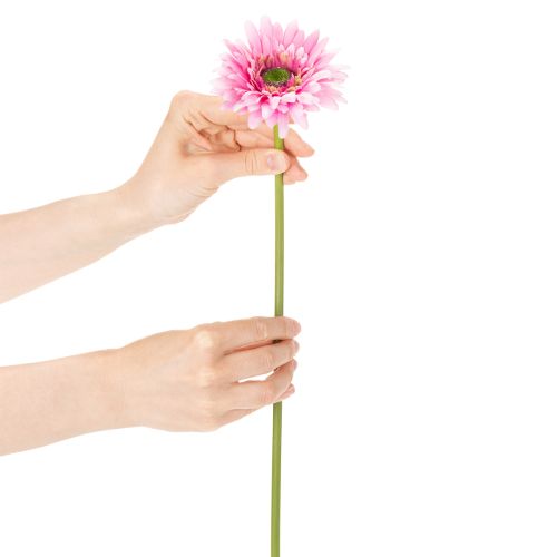 Gerberas artificiels roses pour jardin, 47 cm, lot de 6 | Floristik24.be