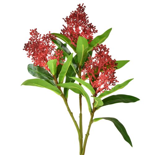 Article Fleurs artificielles Skimmia japonica rouge Skimmie 45cm 2pcs