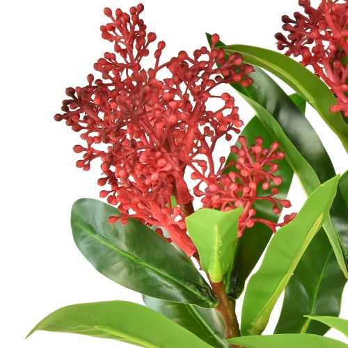 Article Fleurs artificielles Skimmia japonica rouge Skimmie 45cm 2pcs