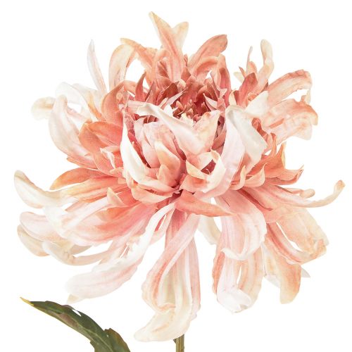 Article Chrysanthèmes Artificiels Rose Mauve Ø13cm L72cm 2pcs
