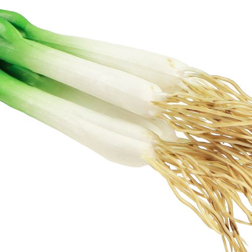 Article Oignons nouveaux artificiels légumes décoratifs L30cm 4 pcs