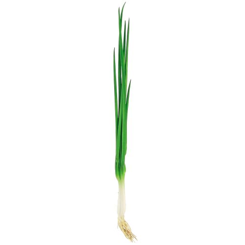Article Oignons nouveaux artificiels légumes décoratifs L30cm 4 pcs