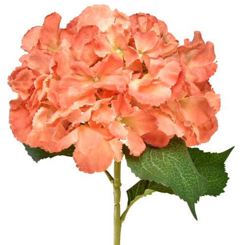 Floristik24 Hortensia artificiel Fleur décorative géante saumon Ø23cm L84cm