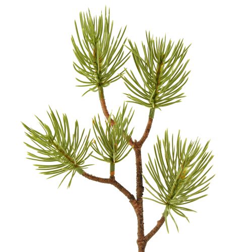 Floristik24 Branches de pin artificielles Branches de Noël 28cm 6 pcs
