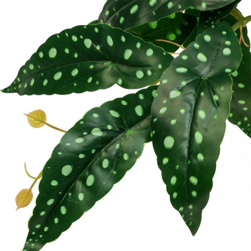 Floristik24 Bégonia Artificiel Plante Artificielle Vert, Vert Foncé 42×28cm