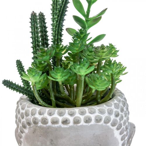 Floristik24 Pot de Fleur Artificielle Succulente Bouddha Ø12cm H24cm