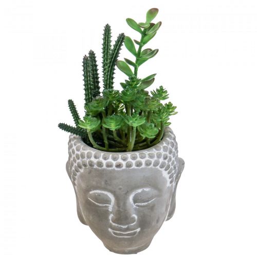 Floristik24 Pot de Fleur Artificielle Succulente Bouddha Ø12cm H24cm