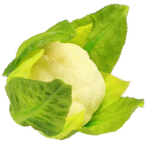 Article Décoration végétale chou-fleur artificielle blanc vert Ø9cm H15cm