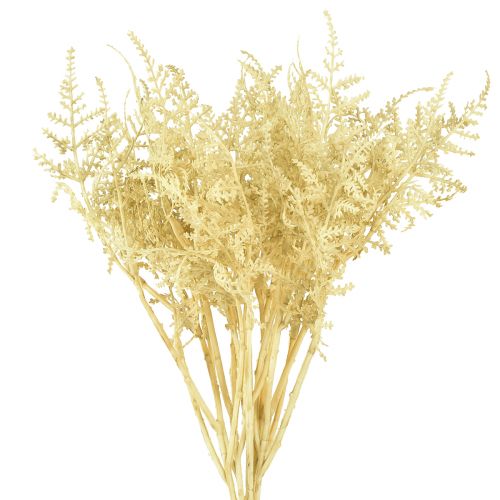 Article Fougère artificielle comme blanchie L34cm 12 pcs 2 bouquet