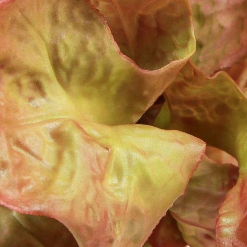 Article Laitue artificielle Lollo Rosso tête de laitue décorative Ø20cm
