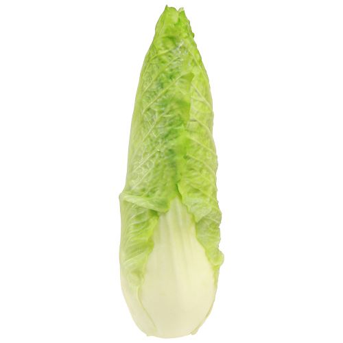 Factice alimentaire chou pointu artificiel Ø5cm H18cm