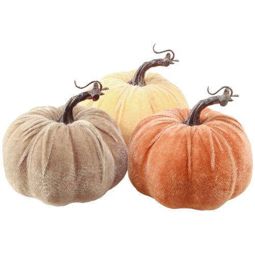 Floristik24 Décoration citrouille automne jaune marron orange Ø13cm H11,5cm 3 pcs