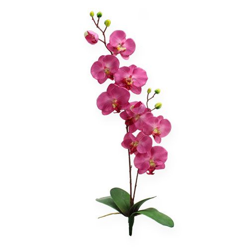 Floristik24 Orchidée artificielle avec feuilles Rose 68cm
