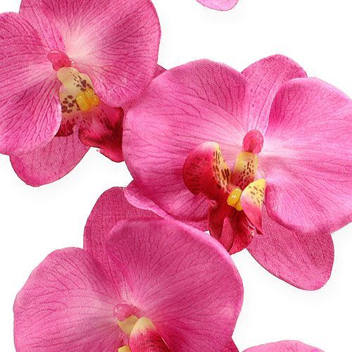 Floristik24 Orchidée artificielle avec feuilles Rose 68cm