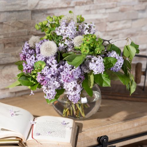 Article Vase boule en verre transparent, vase de table rond, vase à fleurs Ø15,5 cm H12,5 cm