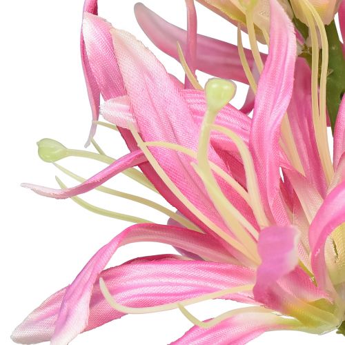 Article Fleurs artificielles, fleurs en soie décoratives lys rose 97cm
