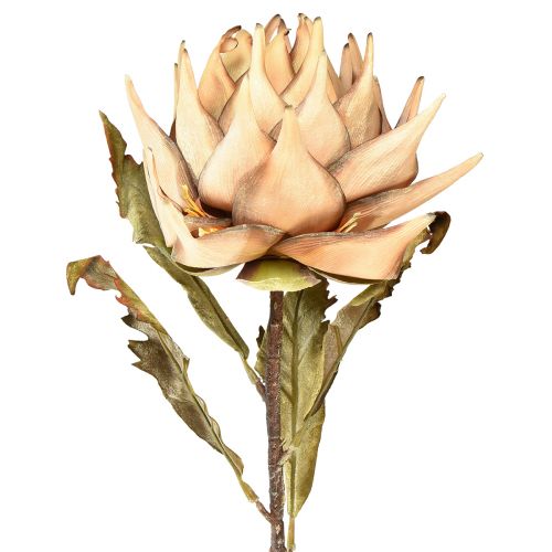 Plante artificielle artichaut crème aspect sec Ø15cm 73cm