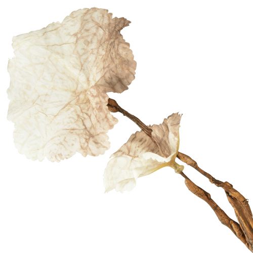 Article Branche d'Heuchère Artificielle d'Automne Artificielle Marron Crème L85cm