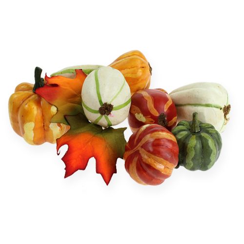 Mélange de citrouille coloré 12pcs | Floristik24.be
