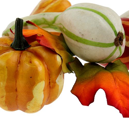 Mélange de citrouille coloré 12pcs | Floristik24.be
