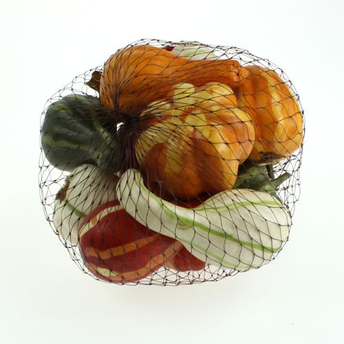 Mélange de citrouille coloré 12pcs | Floristik24.be